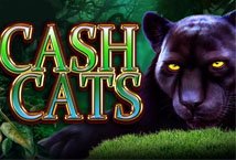 Cash Cats slot